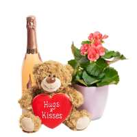 Read New Jersey Blooms Reviews
